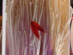 金针菇-虾乐园龙虾·夜宵(松江店)