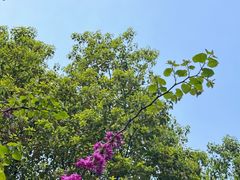 -白塘生态植物园