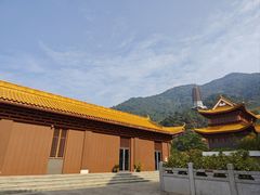 -深圳仙湖植物园