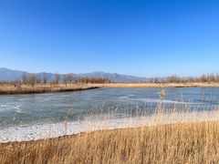 -野鸭湖国家湿地公园
