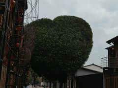 -三坊七巷历史文化街区