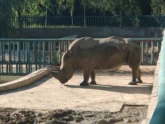 -哈尔滨北方森林动物园