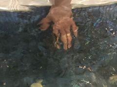 -水晶之星洗浴温泉汗蒸