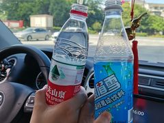 -王浩儿纪六孃甜皮鸭(凌云大厦店)