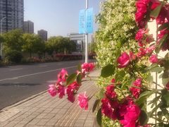 -上海当代艺术博物馆