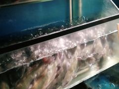 -老板恋上鱼(印象城店)