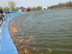 -北戴河圣蓝海洋公园