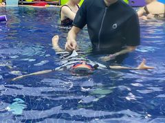 -龙格亲子游泳·水育早教运动中心(绿宝中心)