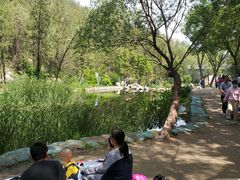 -白水寺森林公园