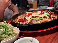 -老板恋上鱼(荣盛广场店)