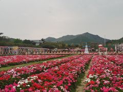 -盈香心动乐园
