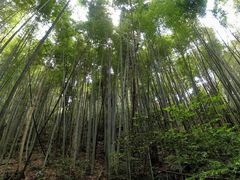 -桂山风景旅游区