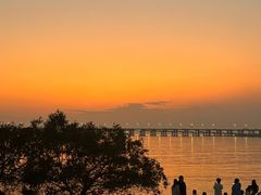 -宝安西湾红树林湿地公园