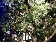 -绿茶餐厅(燕郊永旺店)