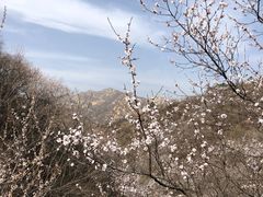 -龙泉峪长城