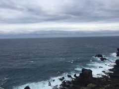 -龙坑生态保护区