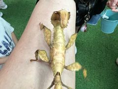 -正佳雨林生态植物园