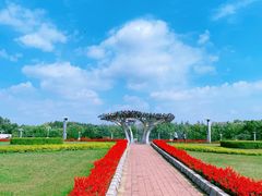 -东北师范大学(净月大街校区)