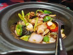 -羽鸽集·乳鸽专门店·地道顺德菜(岭南站店)