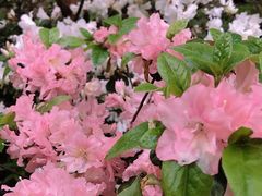 -南山风景名胜区