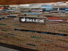 -猫的天空之城概念书店(苏州平江店)