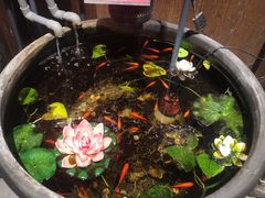 -大酒缸(高碑店文化新大街店)