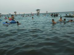 -碧海金沙