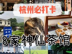 -青藤茶馆(南山路店)