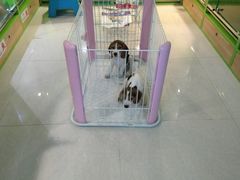 -米卢宠物公园(广华居店)