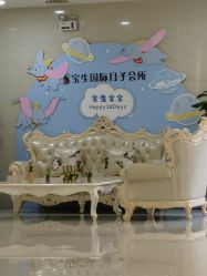-宝生月子中心(独栋园林·福田店)