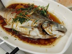 -日日香卤鹅饭店·澄海狮头鹅(澄海店)