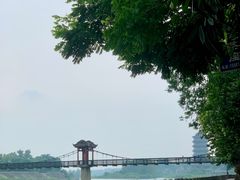 -都江堰中华大熊猫苑