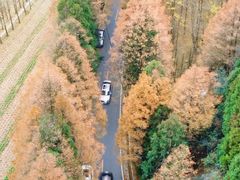 -山王坪喀斯特国家生态公园