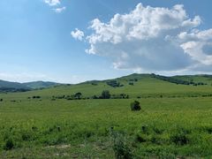 -塞罕坝国家级自然保护区