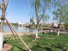 -西海子公园