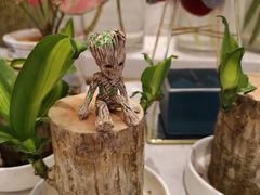 -花邻FloweringLife花艺气球派对(武康大楼店)
