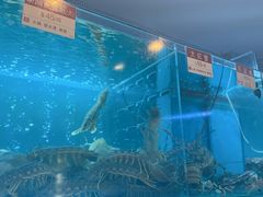 -協成海鮮火鍋(老店)