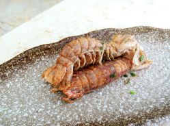 android_upload_pic-阳光五洲大酒店·宴会厅