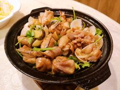 白贝焖清远鸡-利雅园酒家(大沙地店)