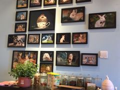 -藦茜花园宠物主题亲子互动体验馆(国顺东路店)
