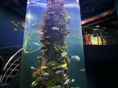 -西安曲江海洋极地公园