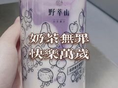 -野萃山·潮汕厚果汁(十亩地店)