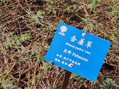 -中国科学院西双版纳热带植物园