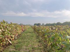 -安德鲁户外烧烤帐篷营地(马泉营店)