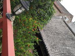 -张家大院·鲁菜·私房菜(芙蓉街店)