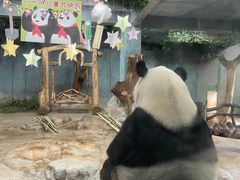 -海南热带野生动植物园