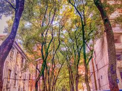 -中南财经政法大学(首义校区)