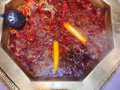 牛油火锅-蜀九香火锅(玉林店)