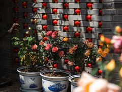 -悦真雅院·四合院·清真私房菜(雍和宫店)