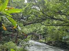 -广州市石门国家森林公园